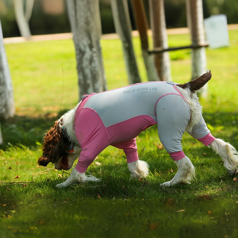 UV-Protective Dog Suit