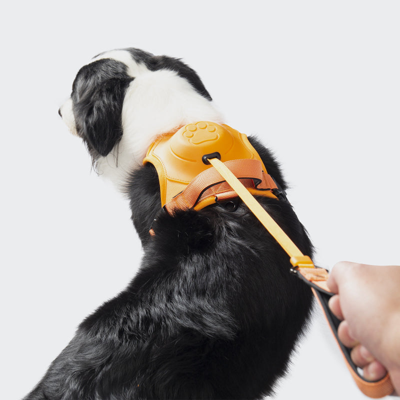 Smart Pet Harness with Integrated Retractable Leash