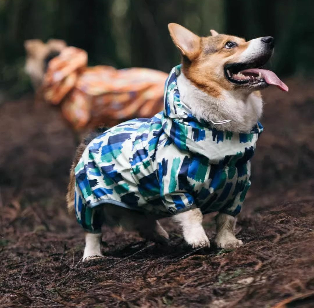 Dog Raincoat with Hat