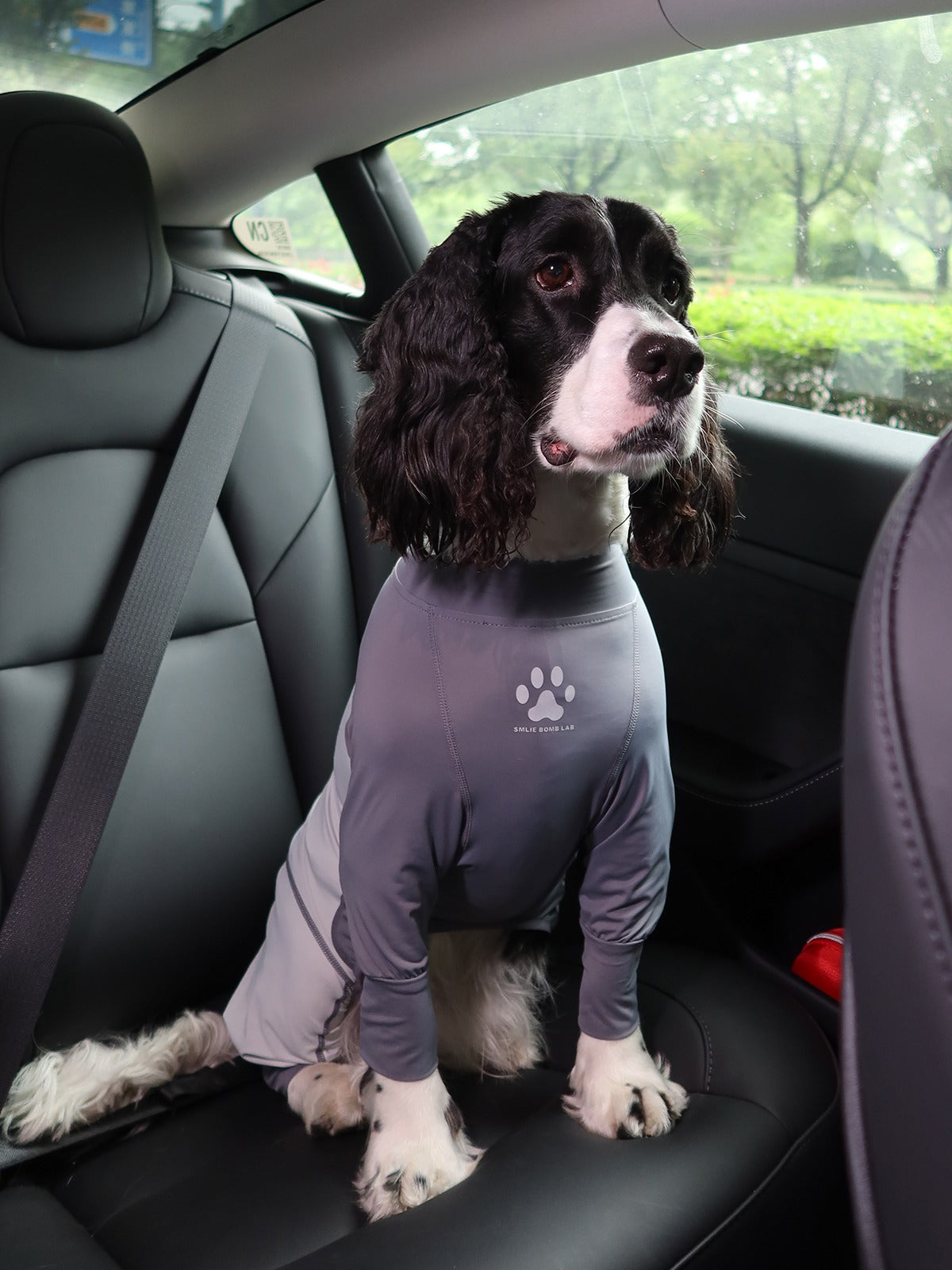 UV-Protective Dog Suit