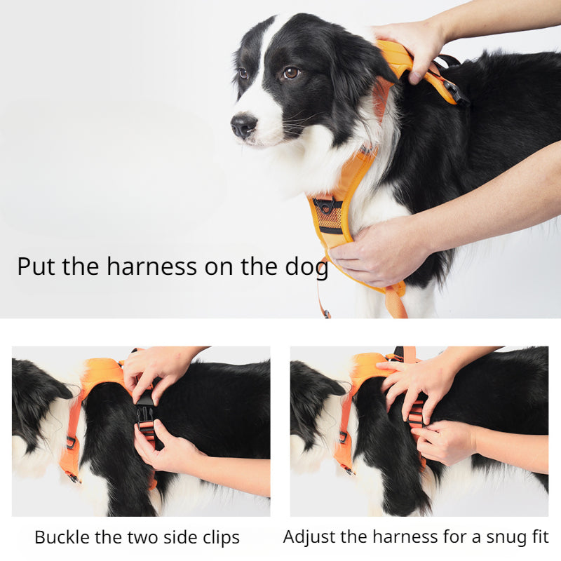 Smart Pet Harness with Integrated Retractable Leash