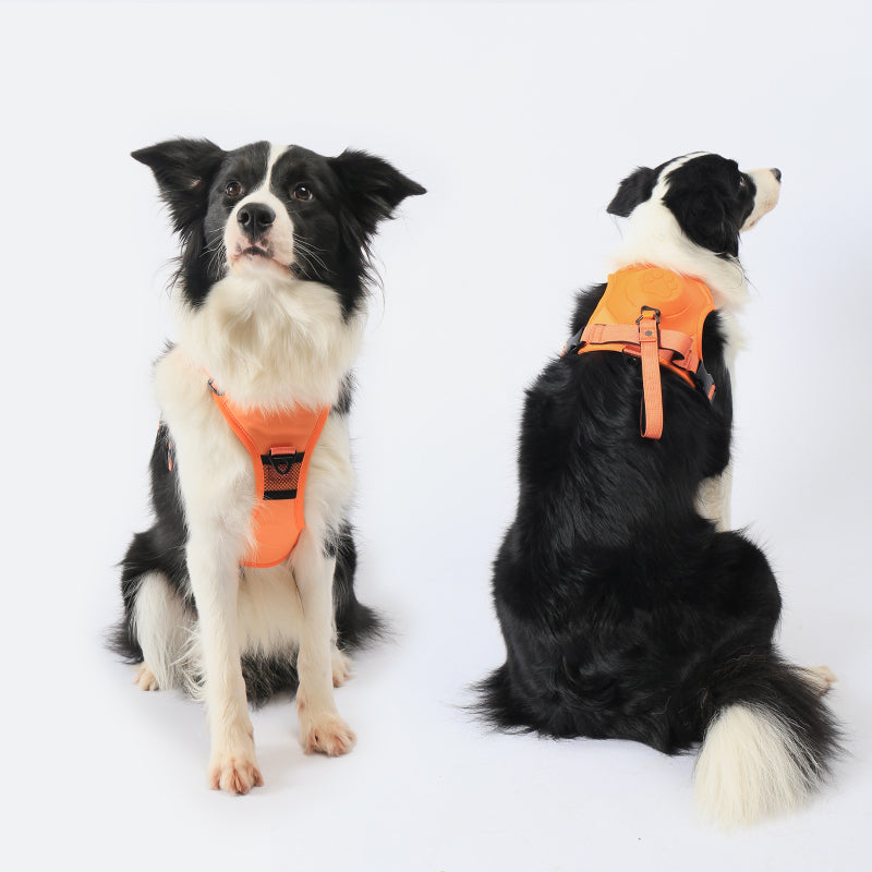 Smart Pet Harness with Integrated Retractable Leash