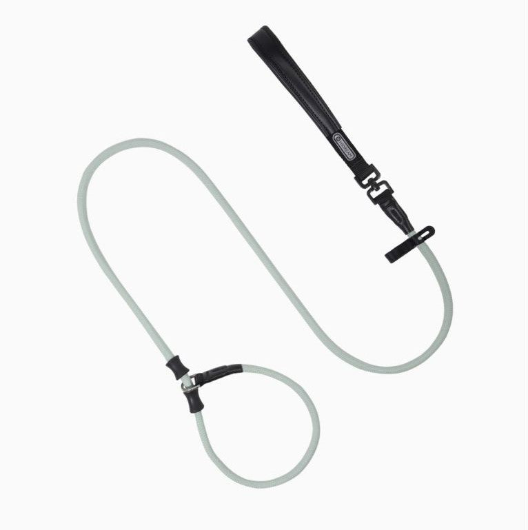 Dog Training Leash with Anti-Pull Design
