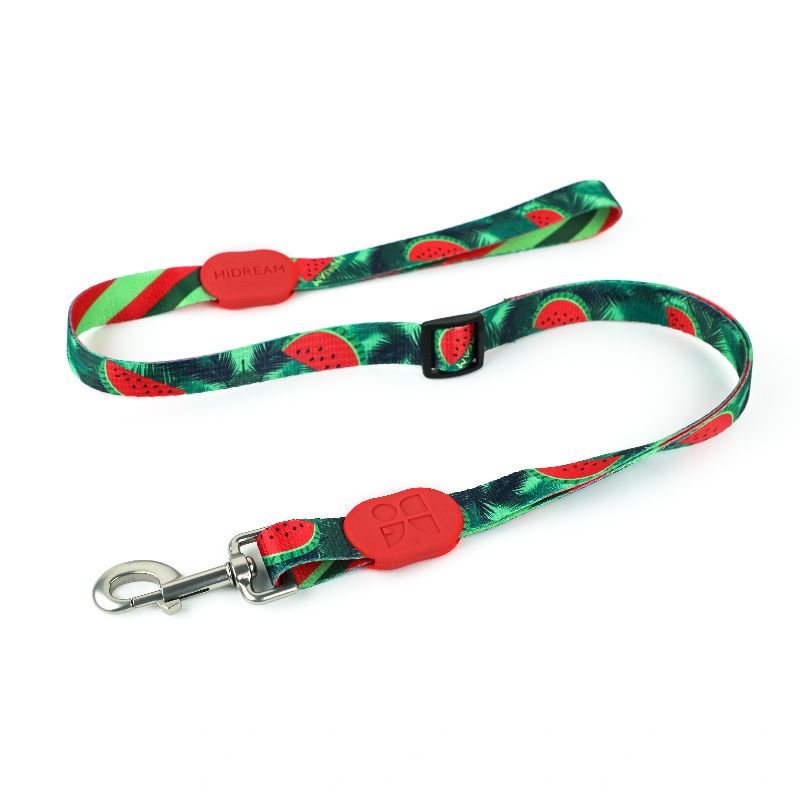 Anti-Pull Reflective Dog Leash