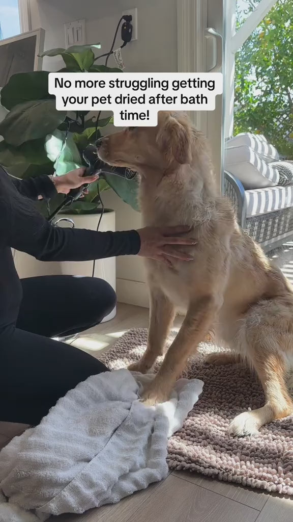 2-in-1 Pet Grooming Dryer - Adjustable Heat Settings for Fluffy and Shiny Coats