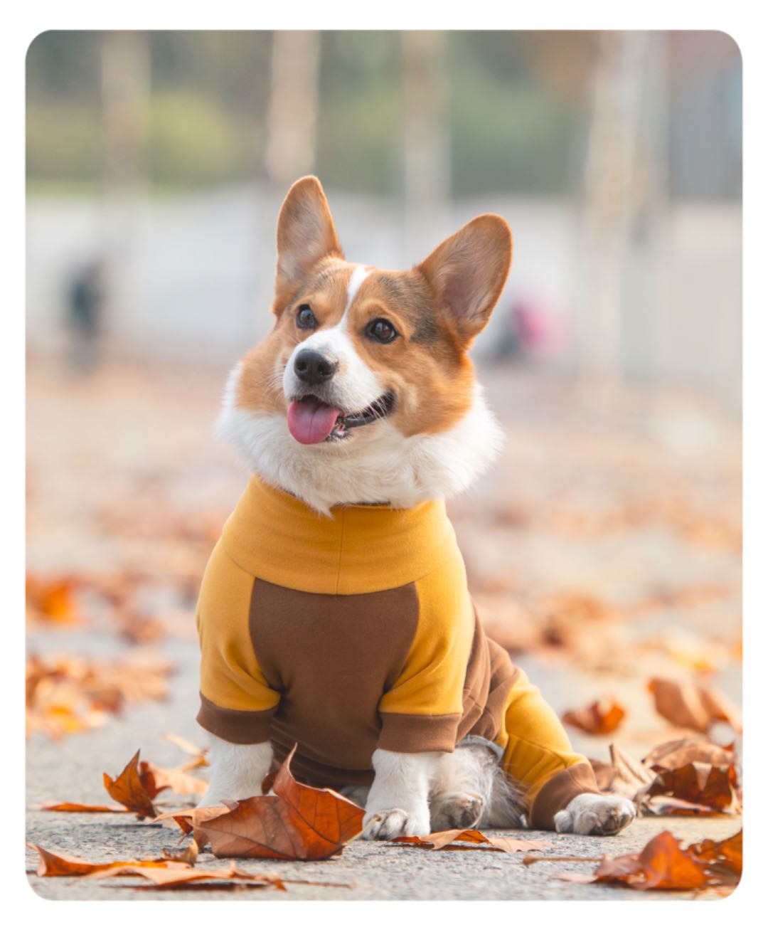 Short-Legged Full Body Protection