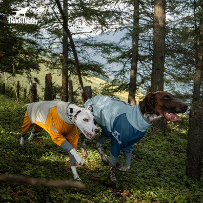 All-Weather Waterproof Dog Jacket