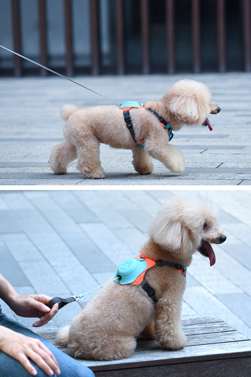 Smart Pet Harness with Integrated Retractable Leash