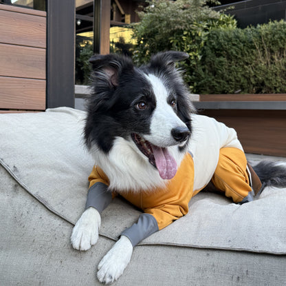 All-Weather Waterproof Dog Jacket