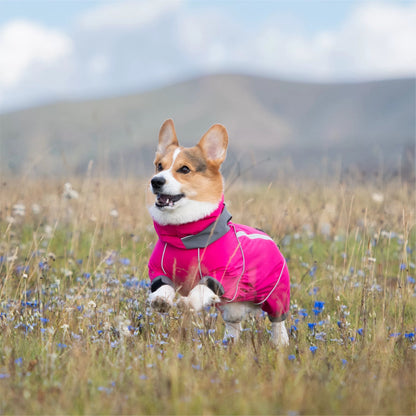 Short-Legged Dog Raincoat