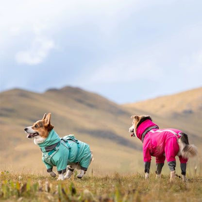 Short-Legged Dog Raincoat