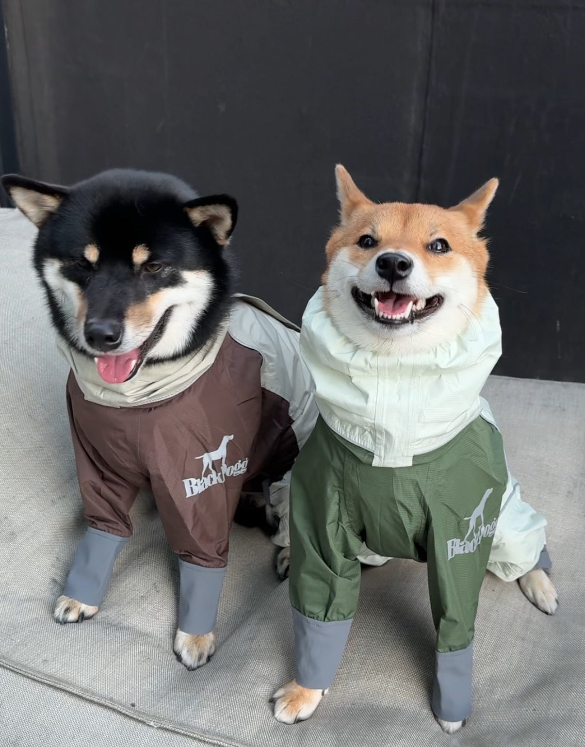 Storm-Guard 4-Legged Dog Raincoat