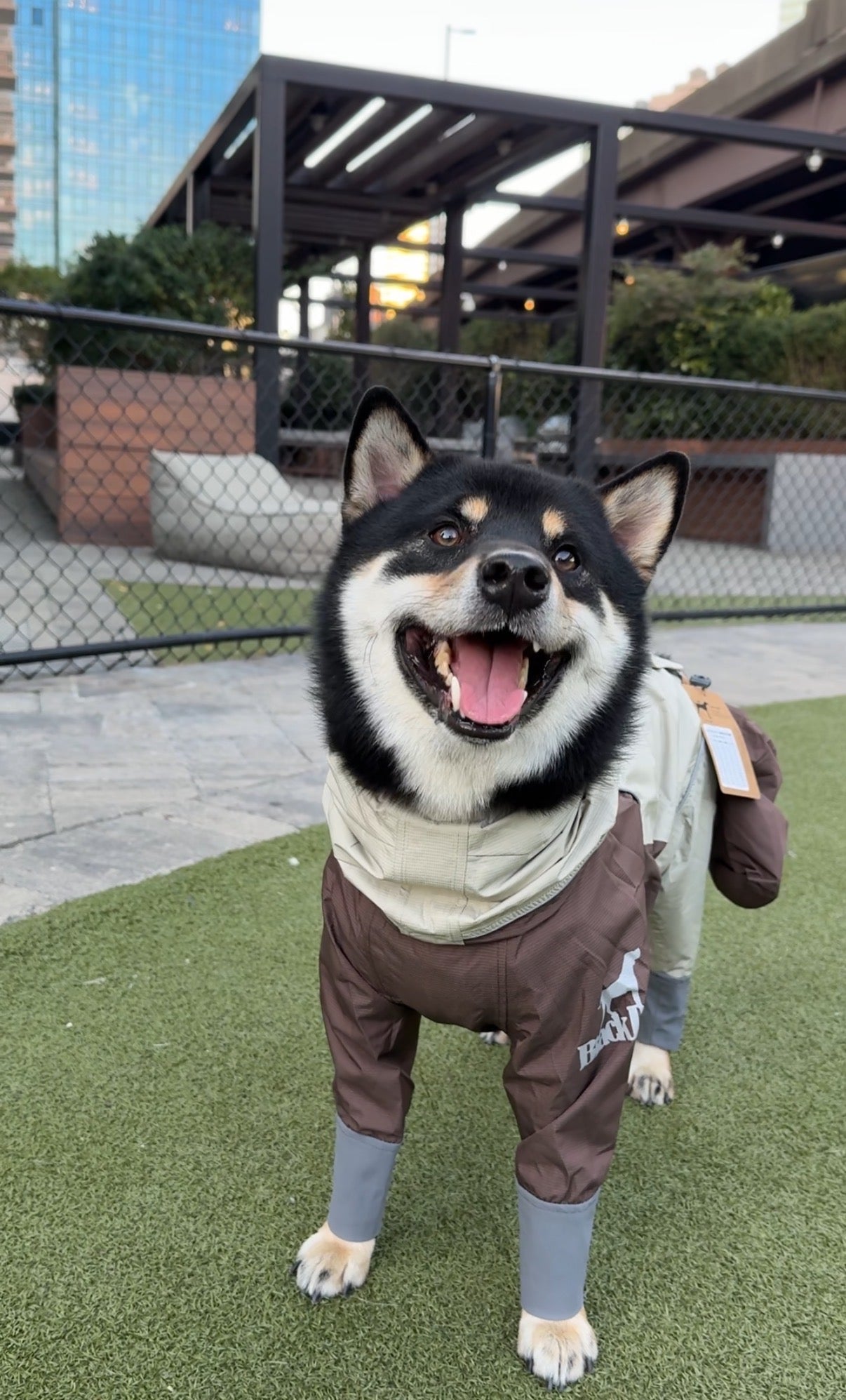 Storm-Guard 4-Legged Dog Raincoat
