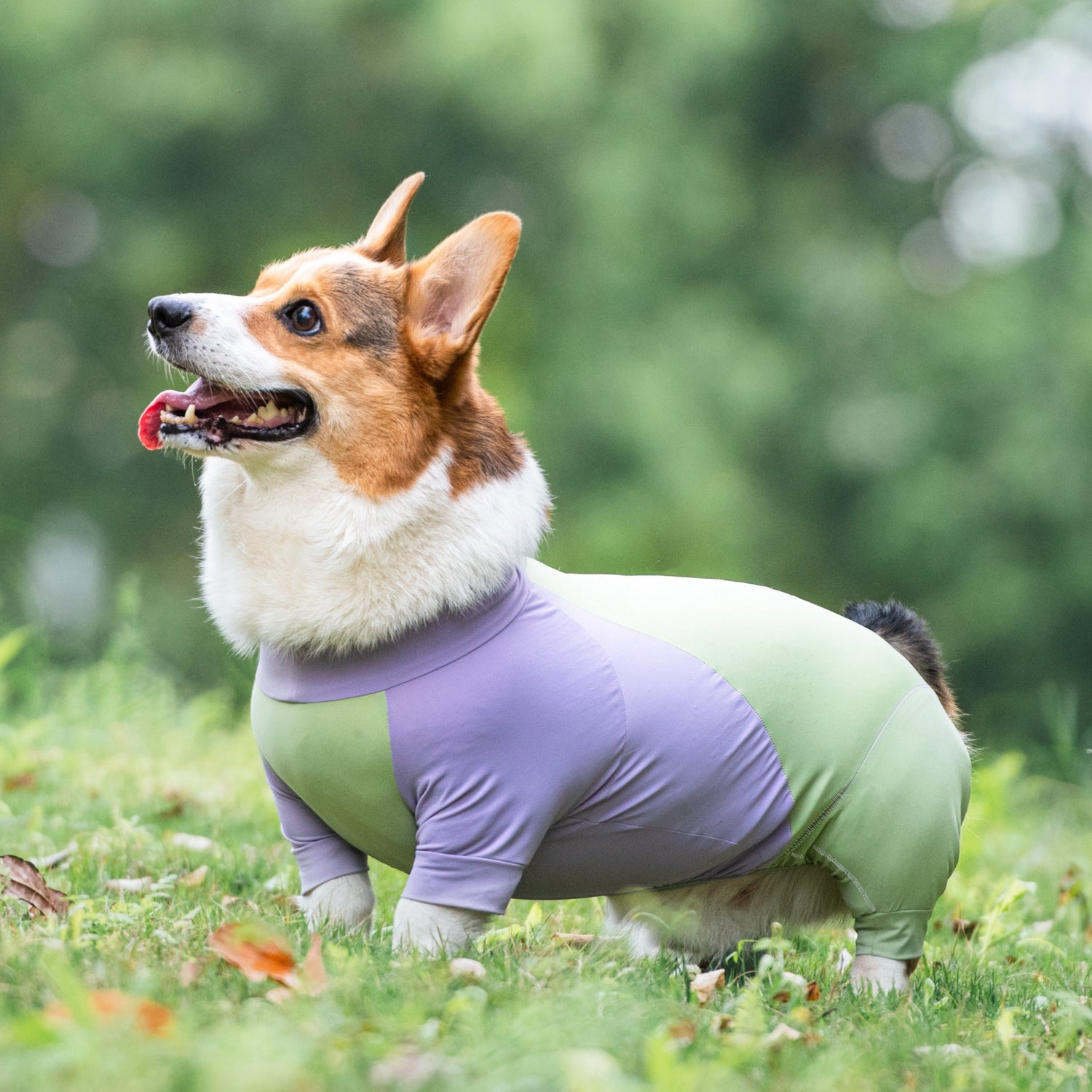 Short-Legged Cooling Dog Suit