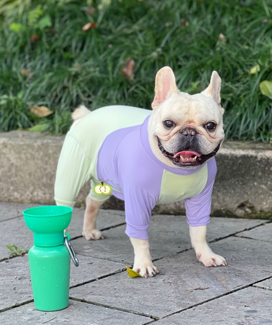 Short-Legged Cooling Dog Suit