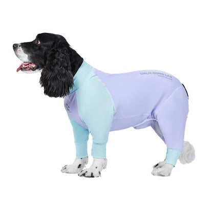 UV-Protective Dog Suit