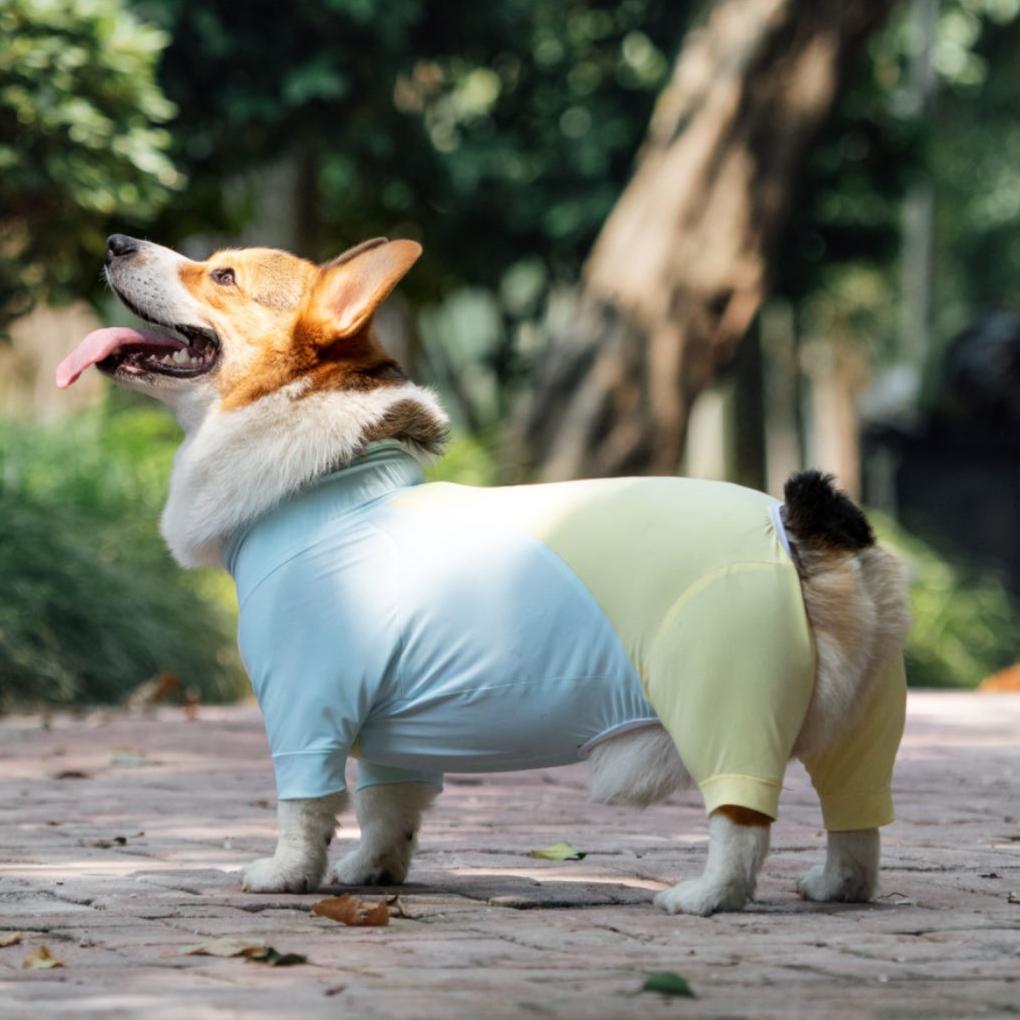 Short-Legged Cooling Dog Suit