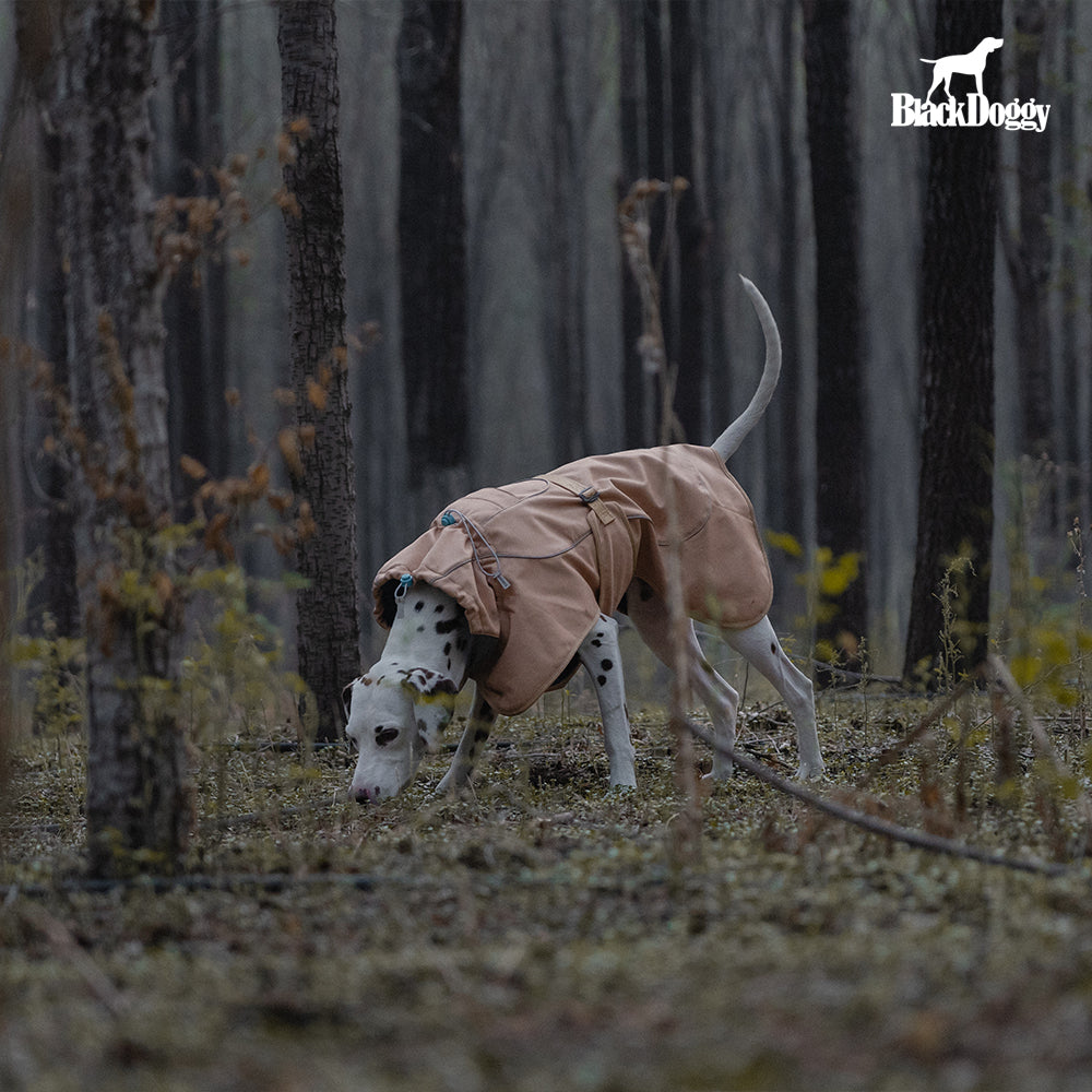 Softshell Jacket Outdoor Adventure