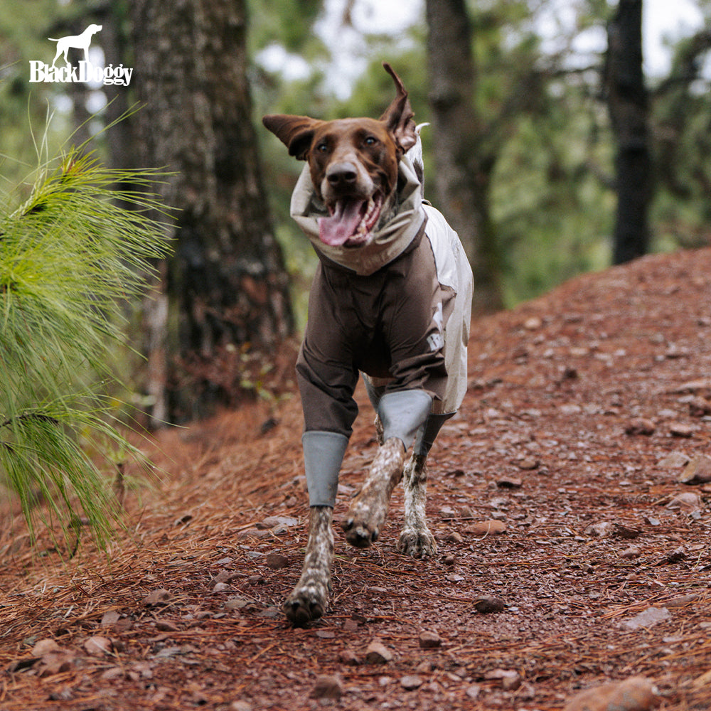 Storm-Guard 4-Legged Dog Raincoat