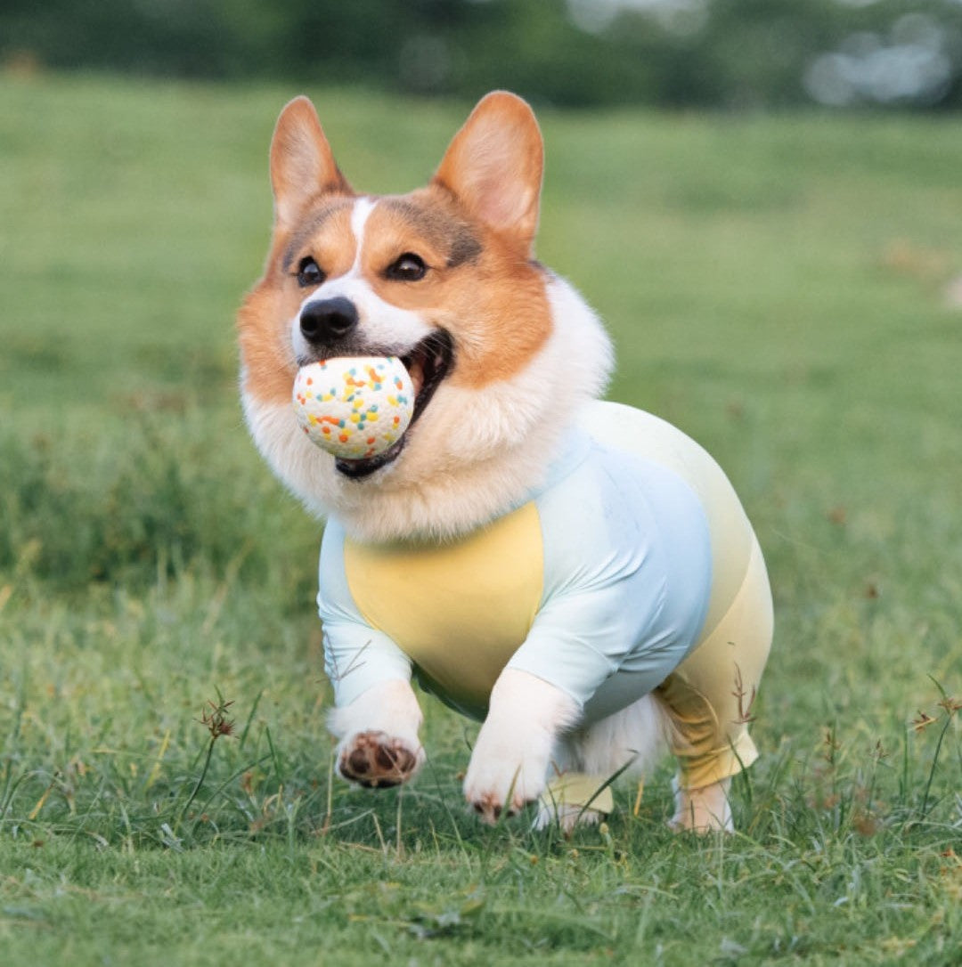 Short-Legged Cooling Dog Suit