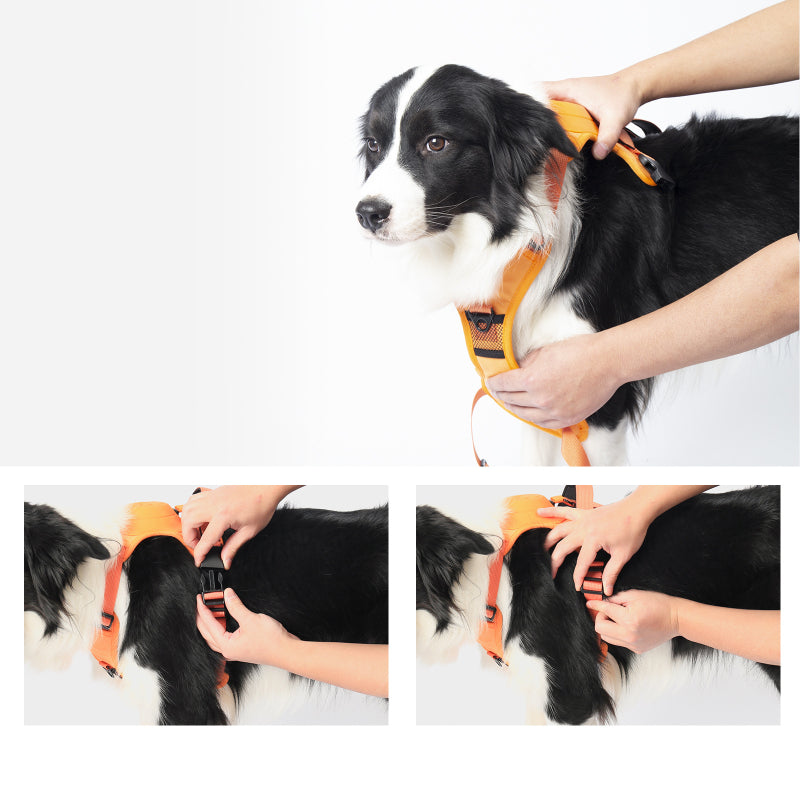 Smart Pet Harness with Integrated Retractable Leash