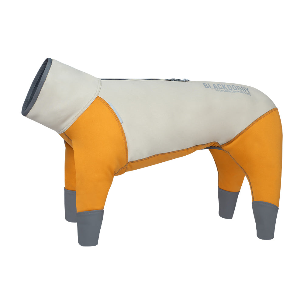 All-Weather Waterproof Dog Jacket