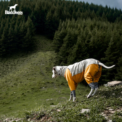 All-Weather Waterproof Dog Jacket