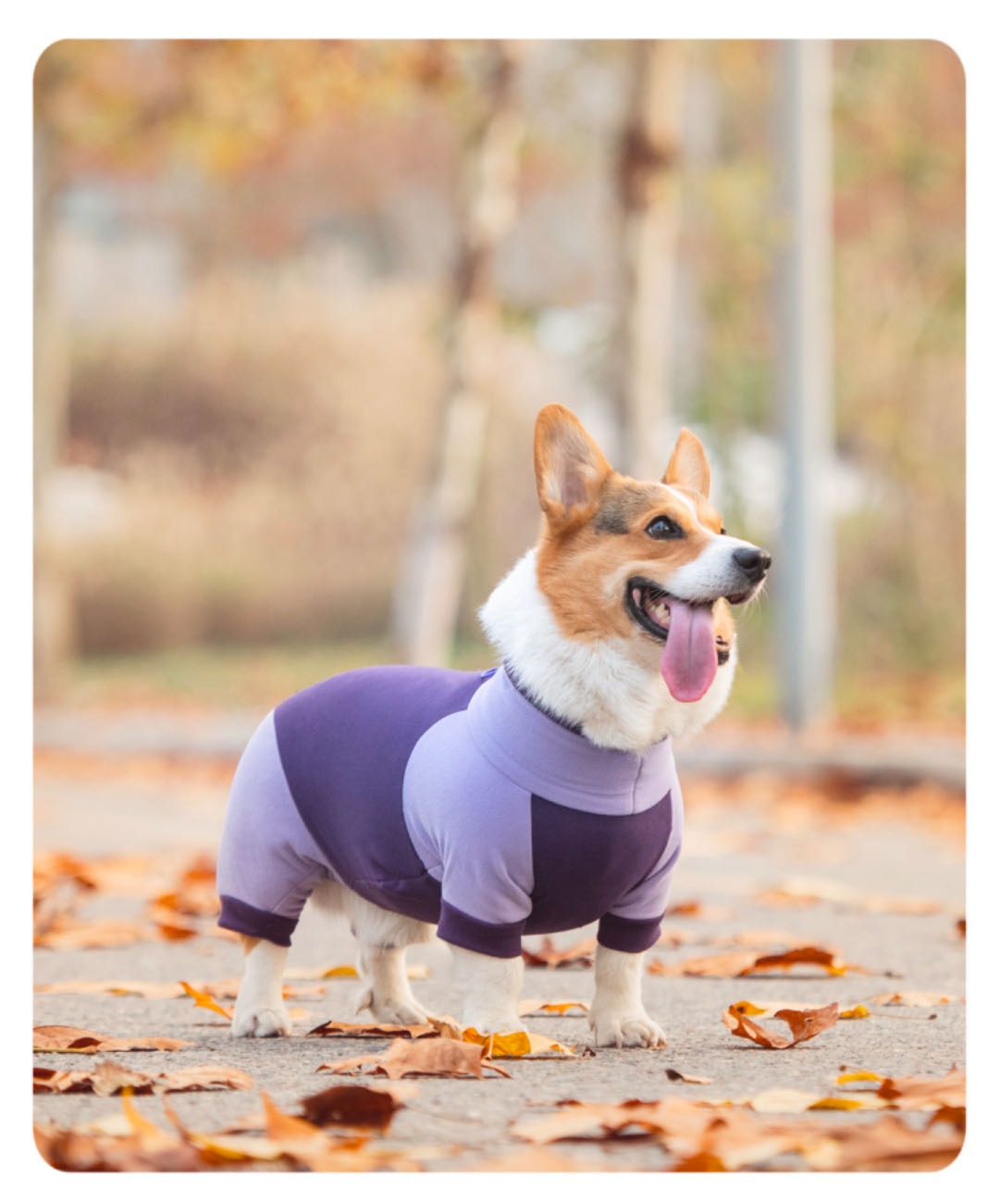 Short-Legged Full Body Protection