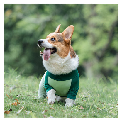 Short-Legged Cooling Dog Suit