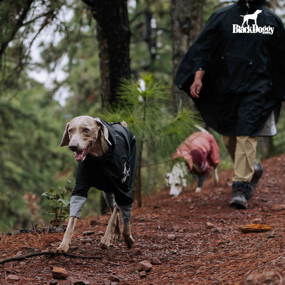 Storm-Guard 4-Legged Dog Raincoat