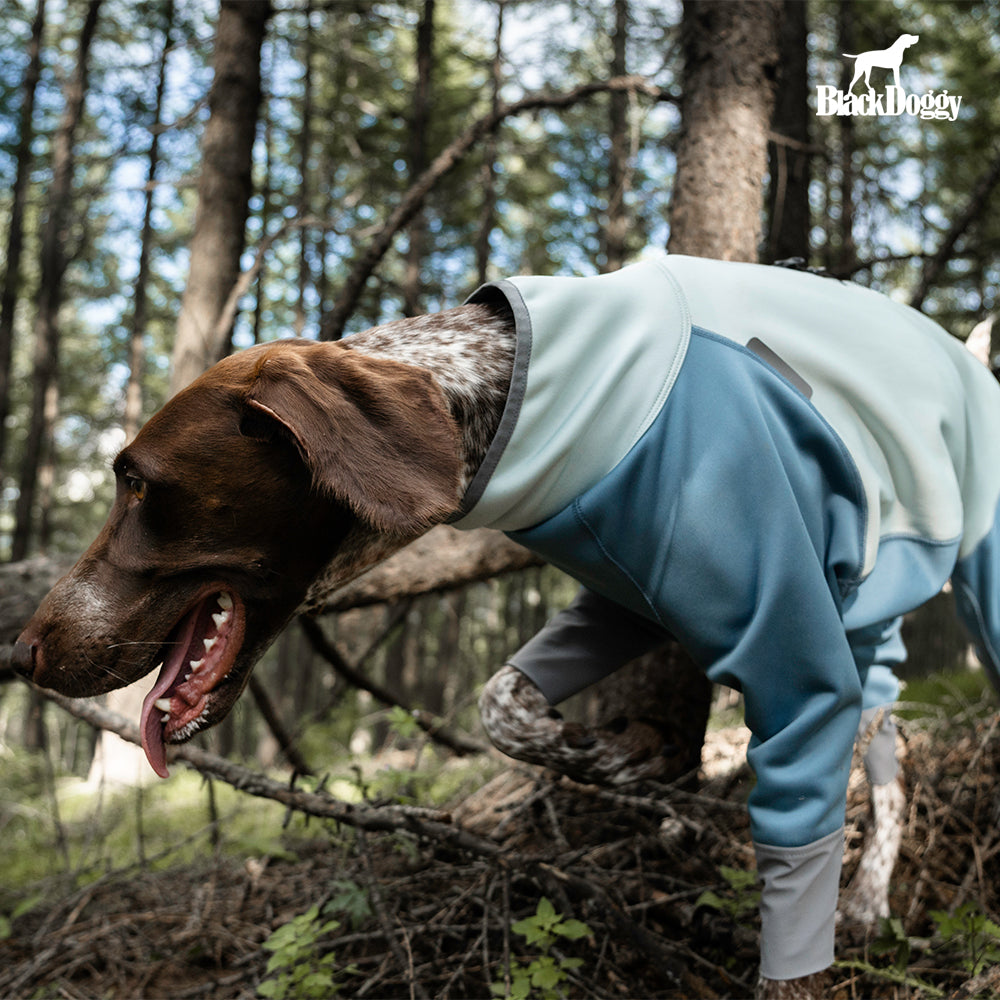 All-Weather Waterproof Dog Jacket