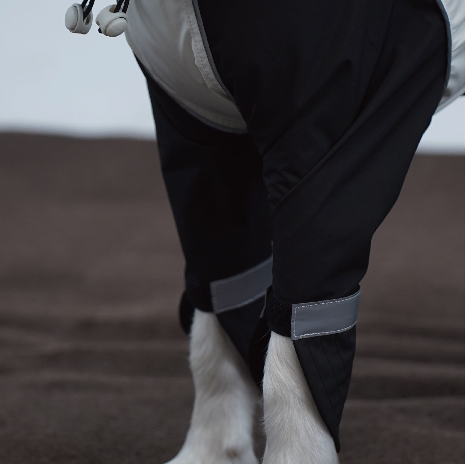 JIUSO Waterproof Dog Jacket