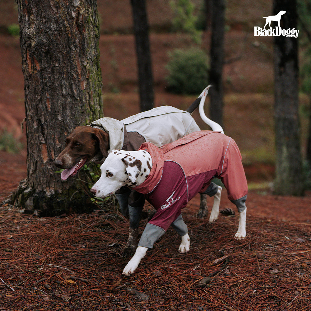 Storm-Guard 4-Legged Dog Raincoat