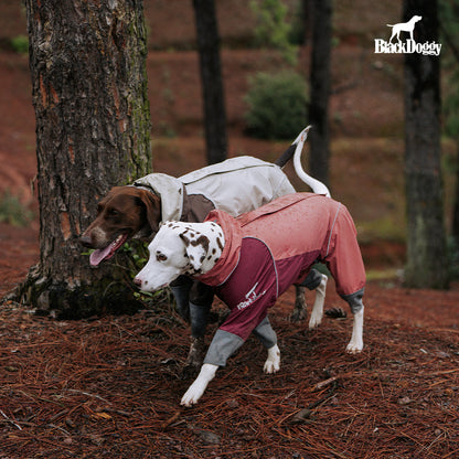 Storm-Guard 4-Legged Dog Raincoat