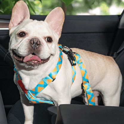 Car Safety Dog Leash with Universal Buckle