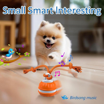 Interactive USB Rechargeable Gyro with RopeSmart Dog Toy -Sound-Enhanced Fun