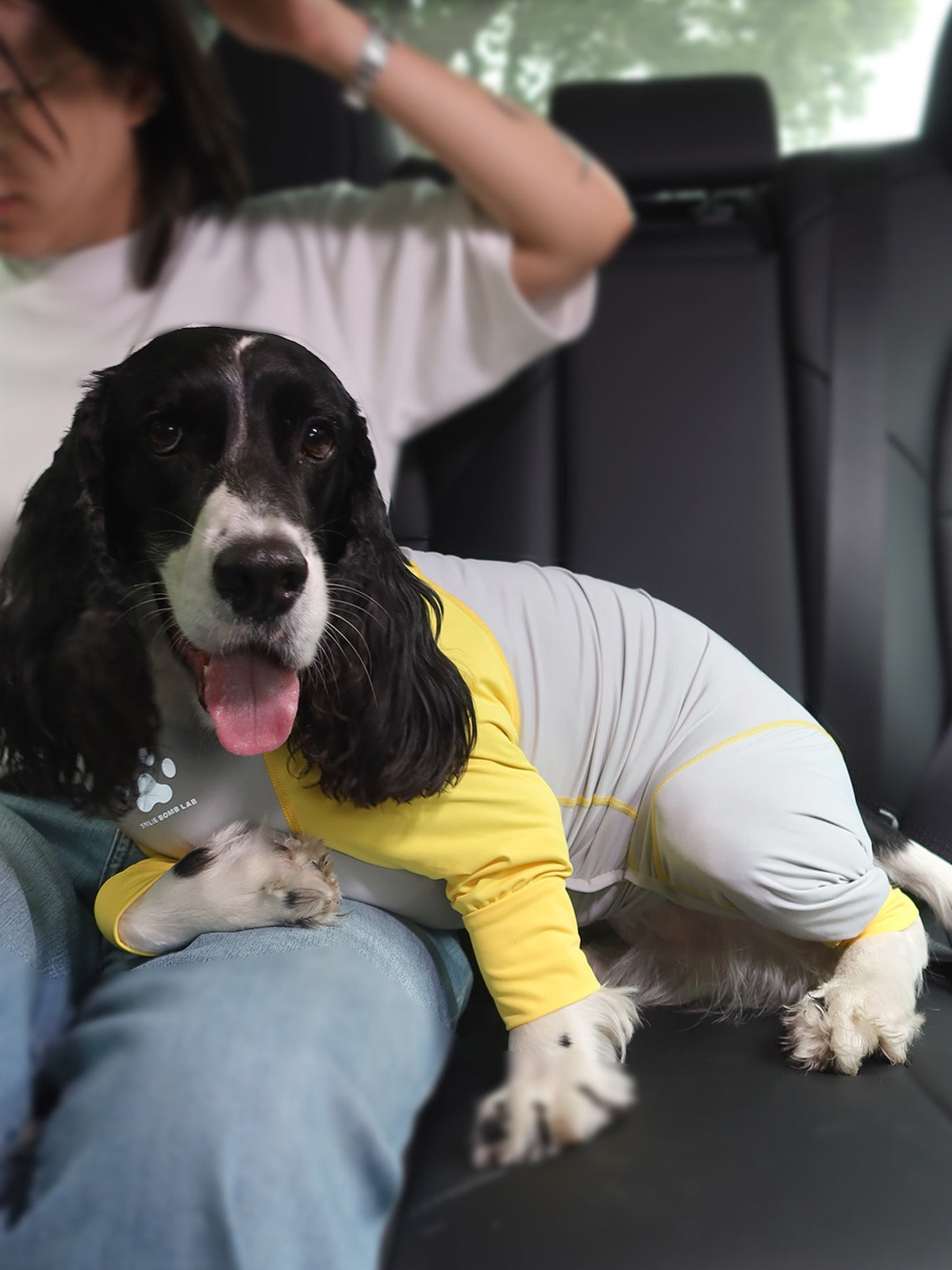 UV-Protective Dog Suit