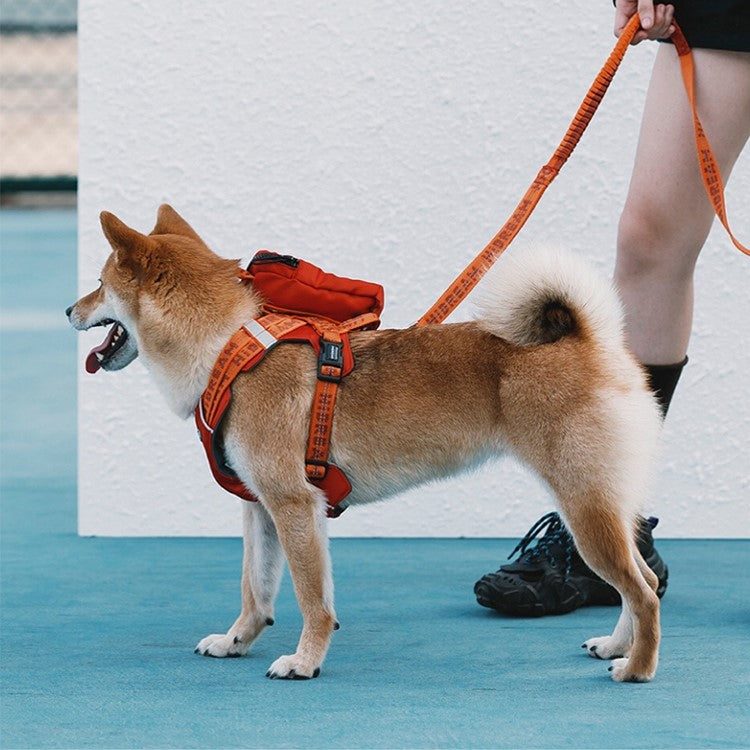 Multi-point pressure relief Dog Harness