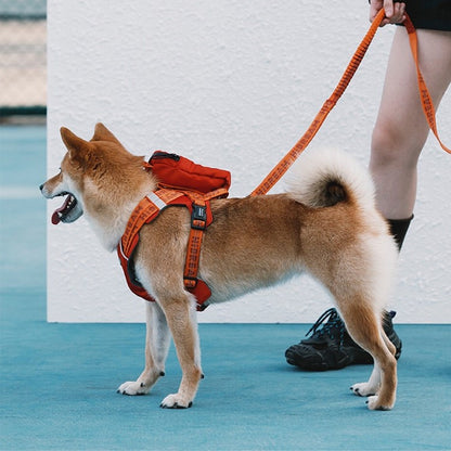 Multi-point pressure relief Dog Harness