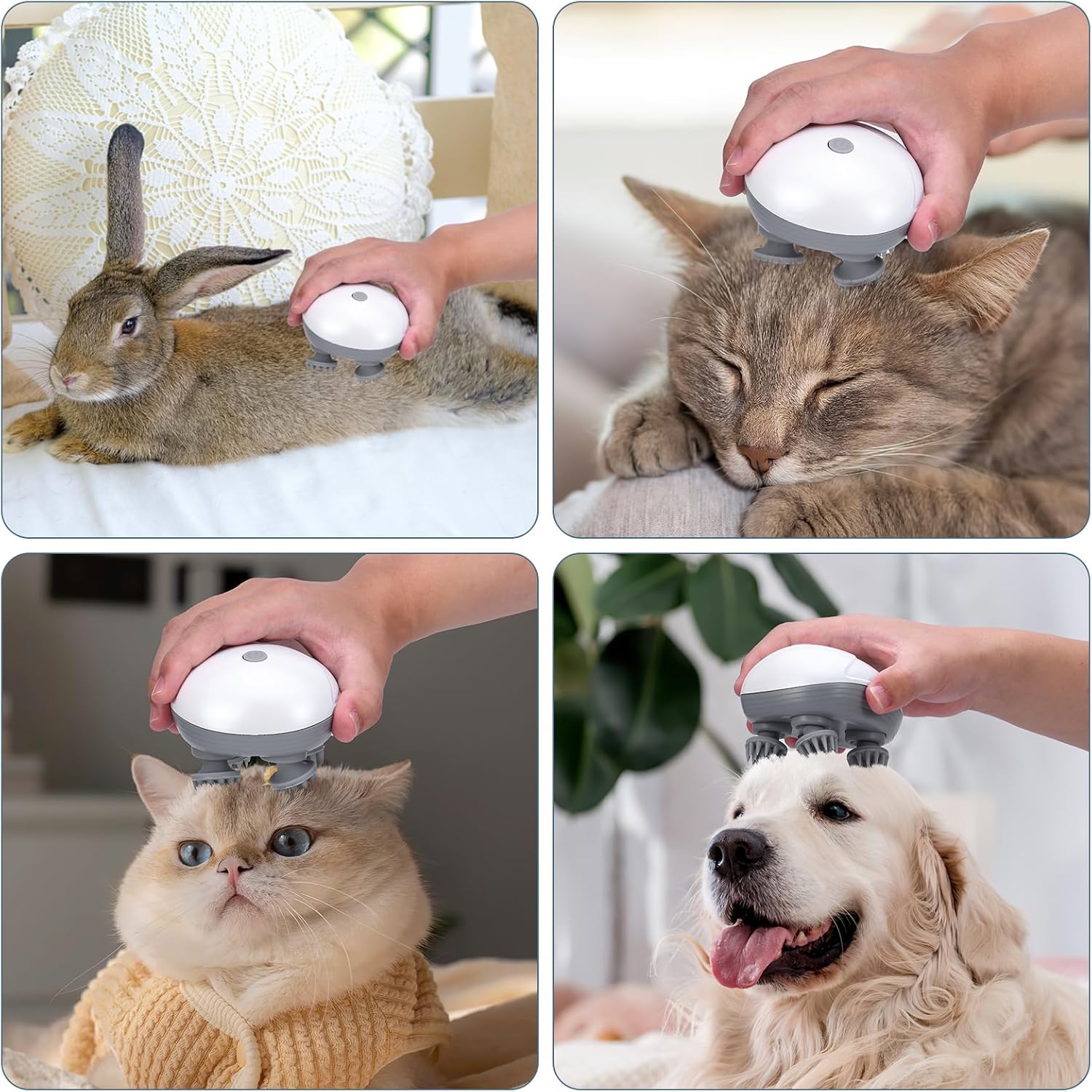 Rechargeable Waterproof Pet Massager with 24 Kneading Nodes - Gentle Grooming &amp; Stress Relief