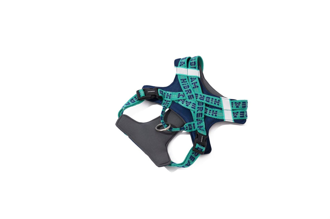 Multi-point pressure relief Dog Harness