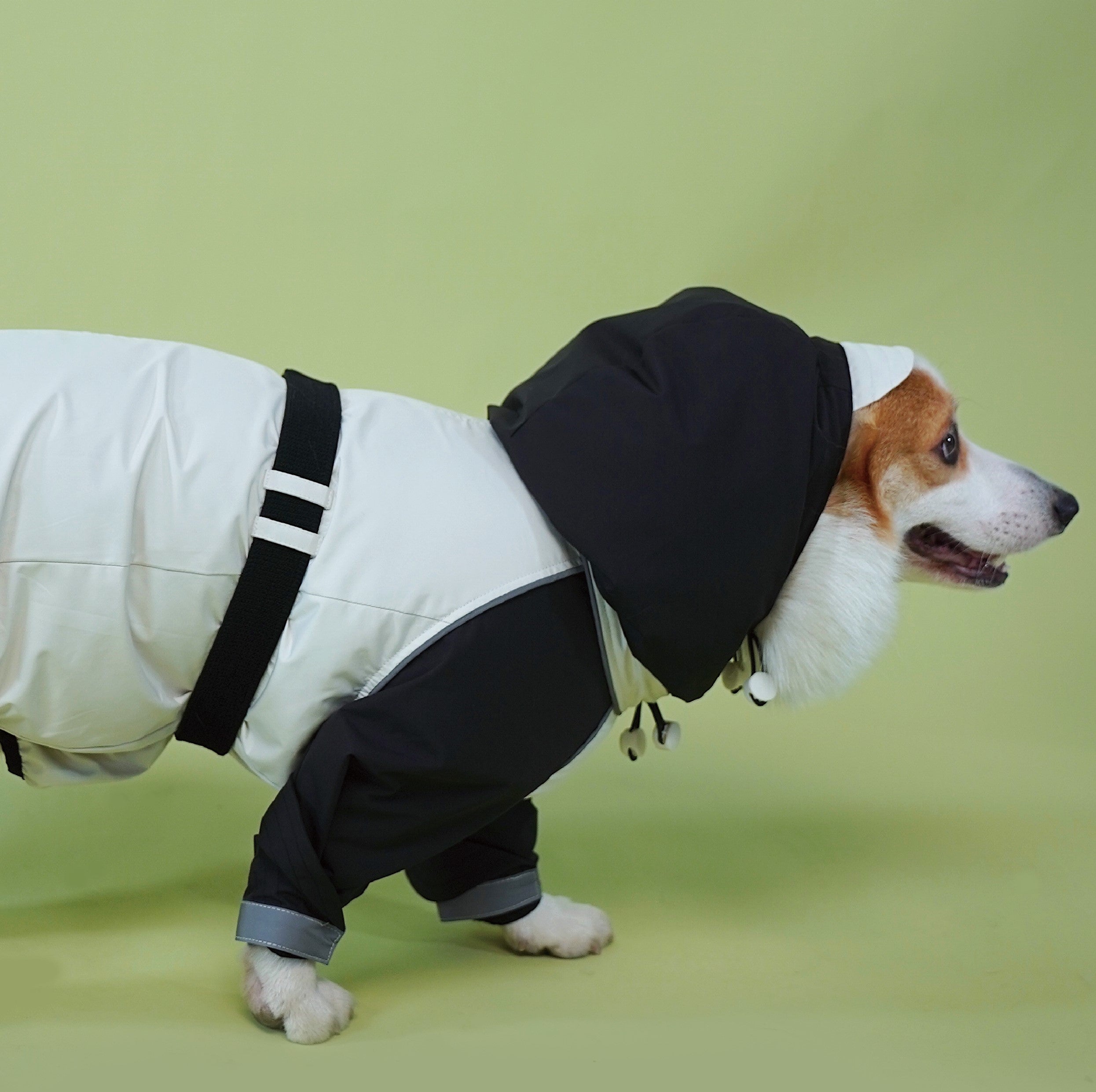 JIUSO Waterproof Dog Jacket