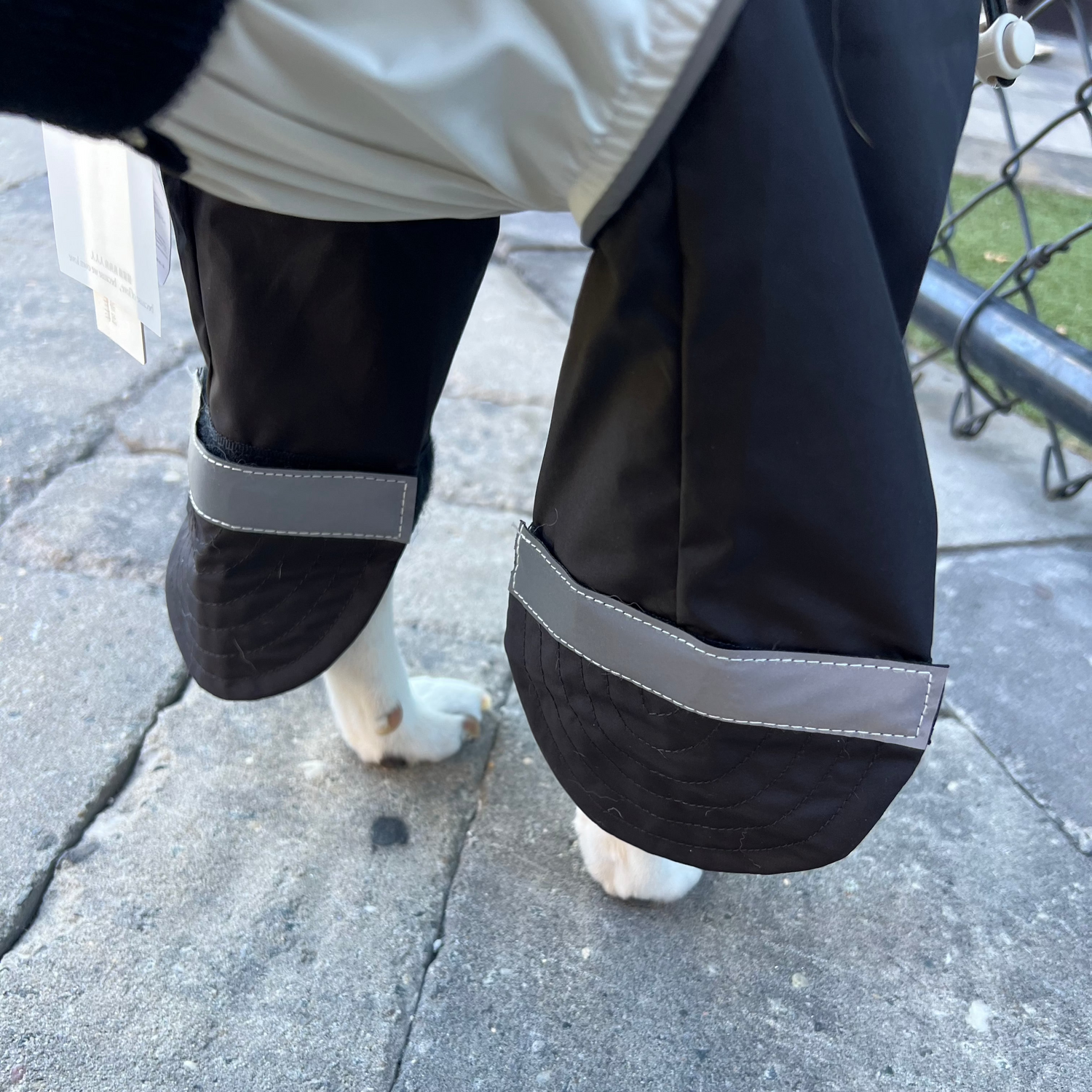 JIUSO Waterproof Dog Jacket