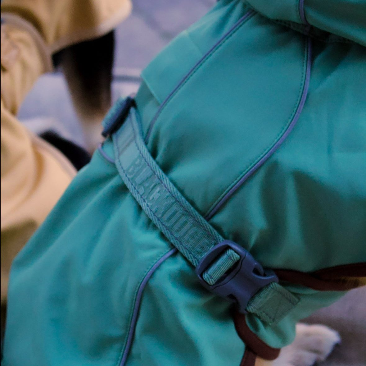 Softshell Jacket Outdoor Adventure