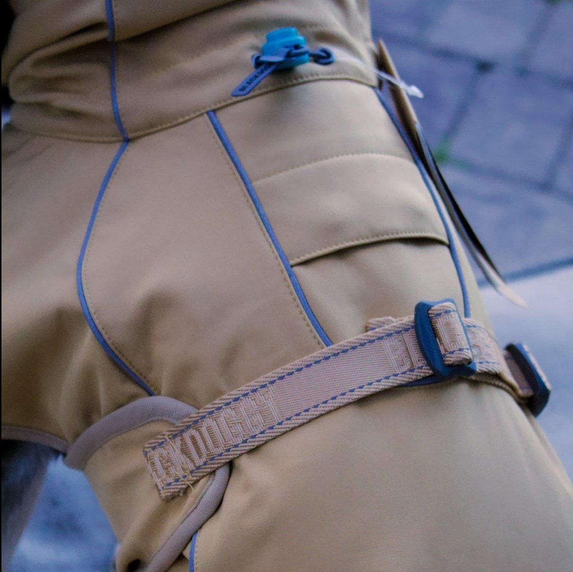 Softshell Jacket Outdoor Adventure