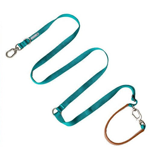 Adjustable Hands-Free Dog Leash