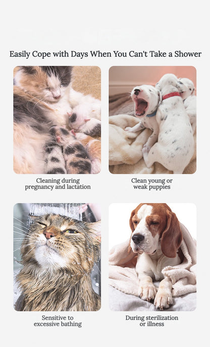 Aloe Essence Pet Cleaning Gloves – Nourishing, Deodorizing &amp; Gentle for Dogs and Cats