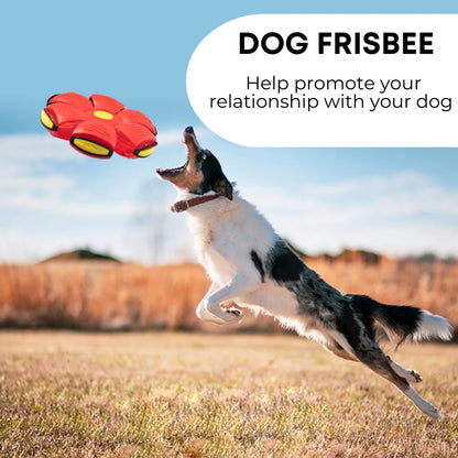 Interactive Dog Frisbee Ball - Transforms from Ball to Frisbee for Endless Play Fun