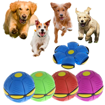 Interactive Dog Frisbee Ball - Transforms from Ball to Frisbee for Endless Play Fun